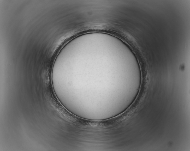 X0000115541218200911271402