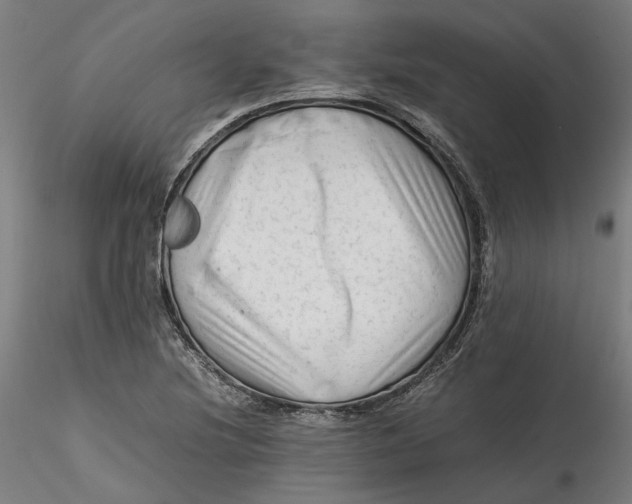 X0000115541220200911271402