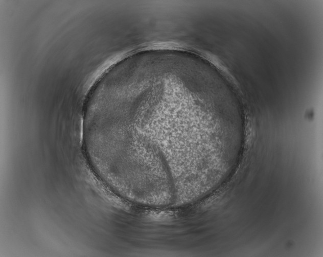 X0000115541221200911271402