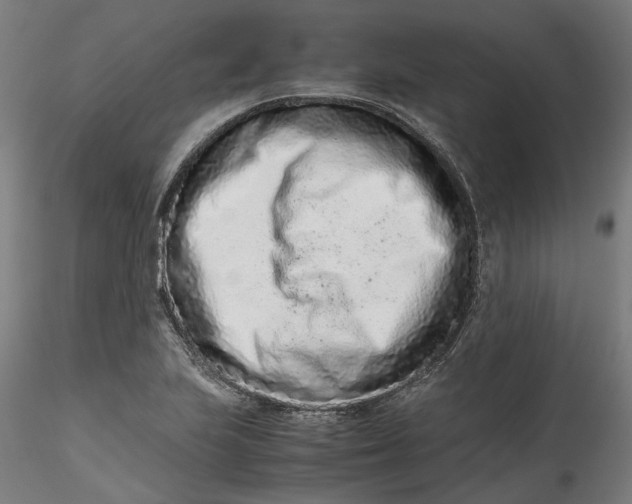 X0000115541223200911271402