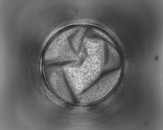 X0000115541224200911271402