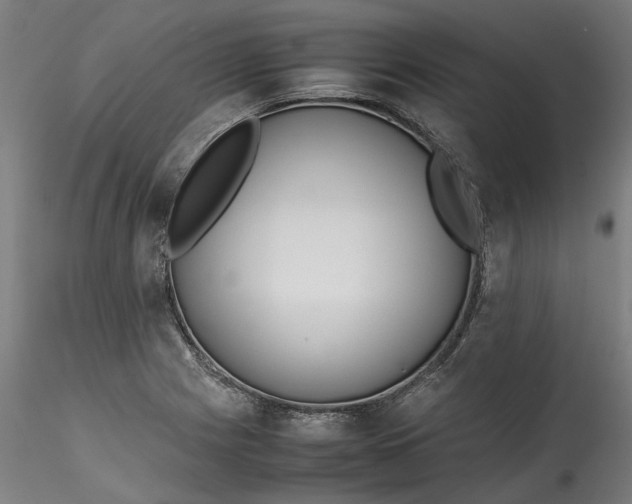 X0000115541225200911271402