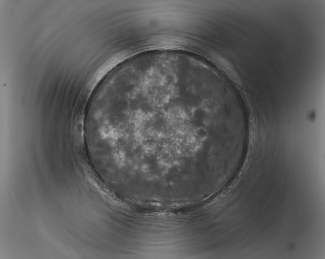 X0000115541226200911271402