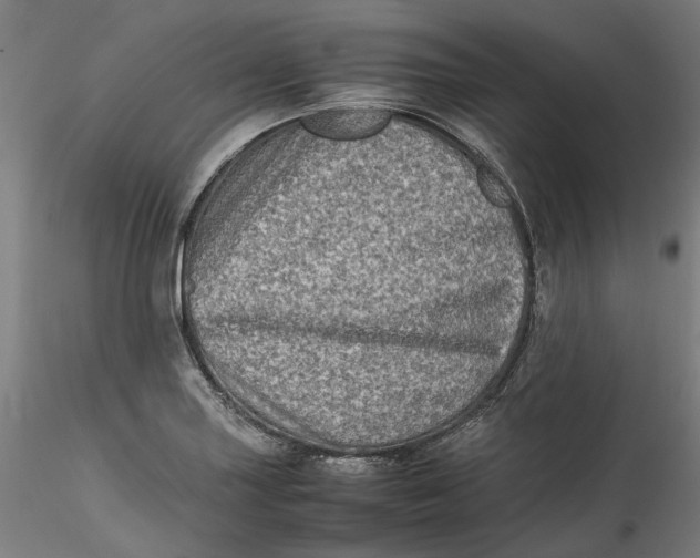 X0000115541227200911271402