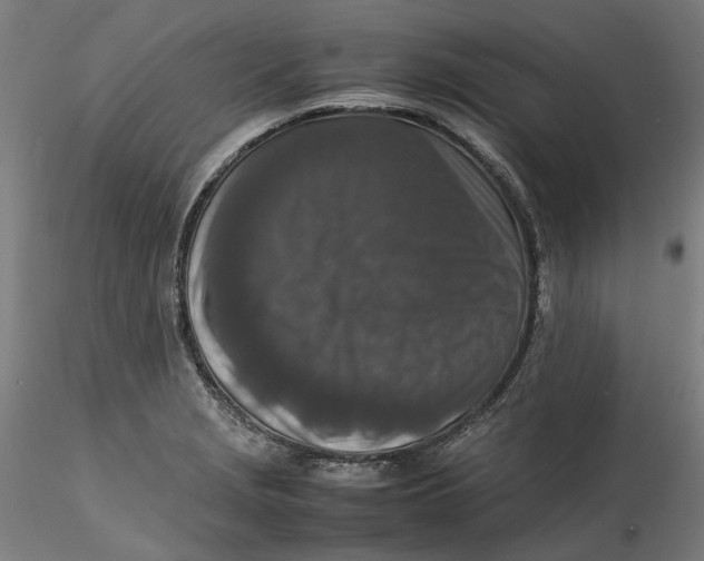 X0000115541229200911271402