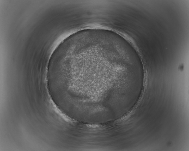 X0000115541231200911271402