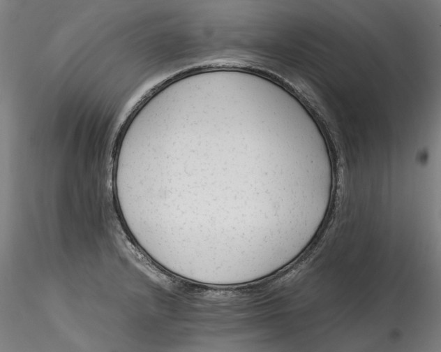 X0000115541232200911271402