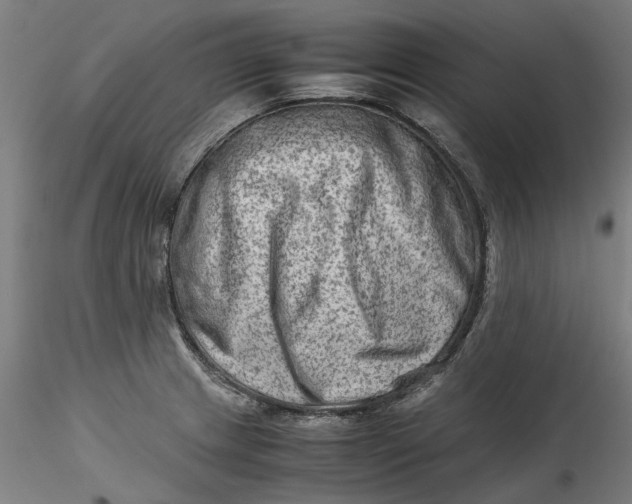 X0000115541233200911271402