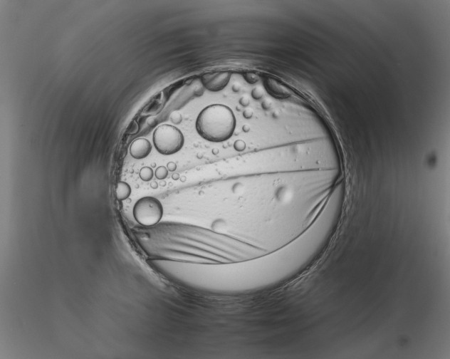 X0000115541235200911271403