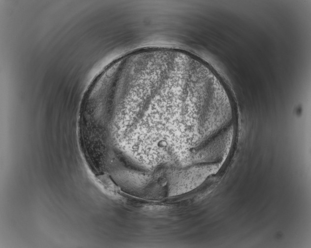 X0000115541237200911271403