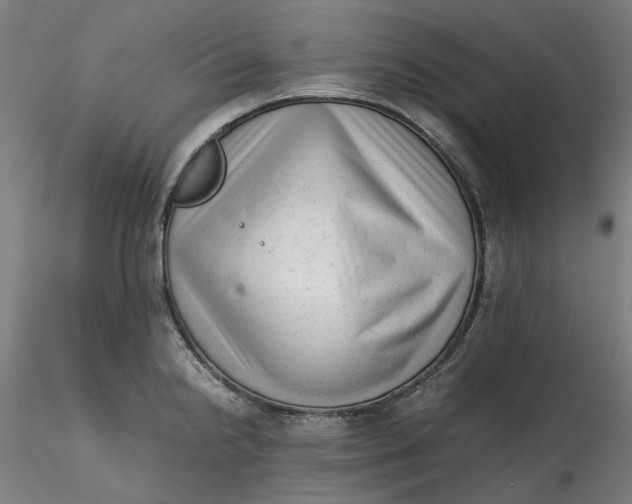 X0000115541238200911271403