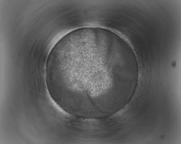 X0000115541239200911271403