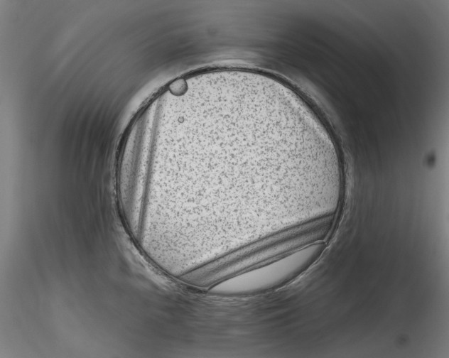 X0000115541240200911271403