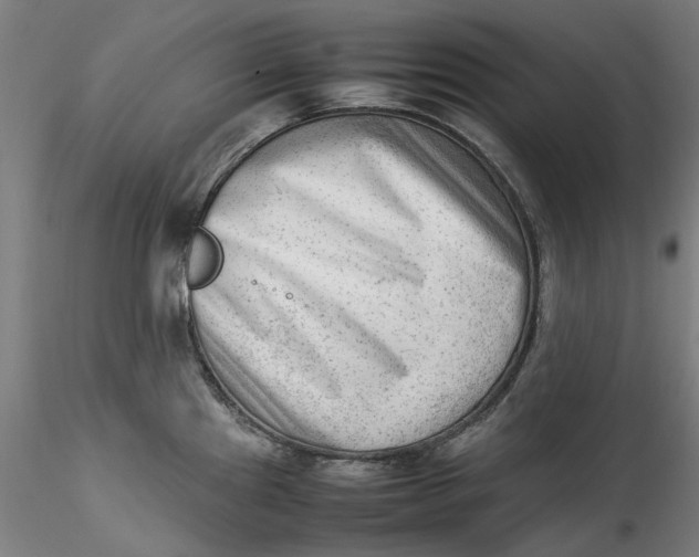 X0000115541241200911271403