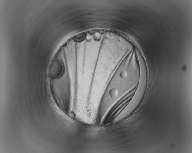 X0000115541243200911271403