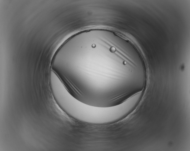 X0000115541244200911271403