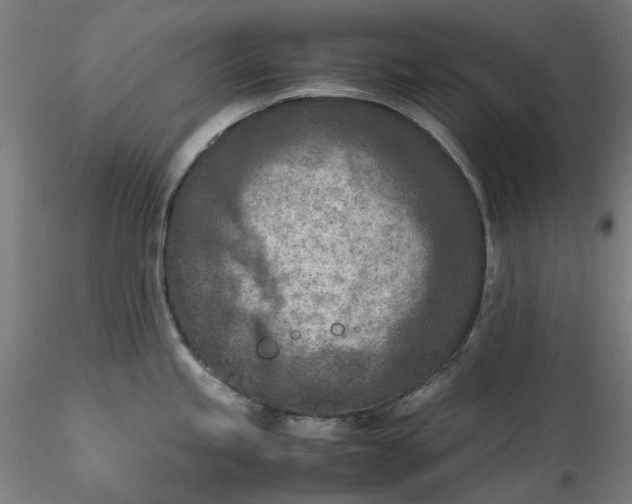 X0000115541245200911271403