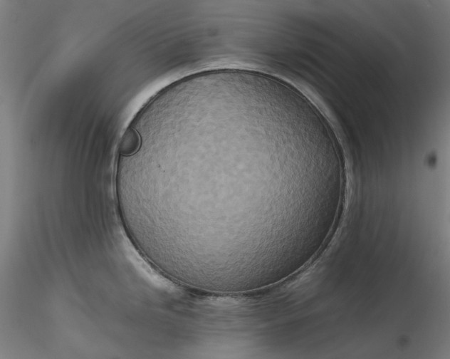 X0000115541246200911271403