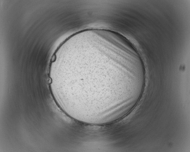 X0000115541248200911271403