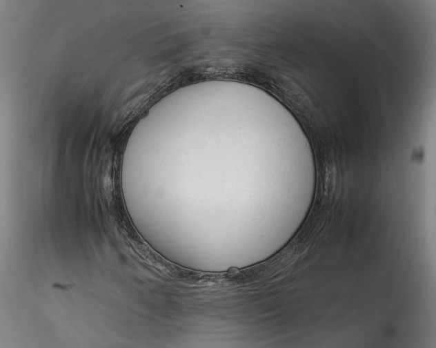 X0000115541250200911271402