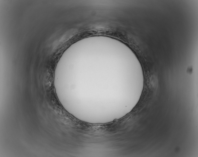 X0000115541253200911271402