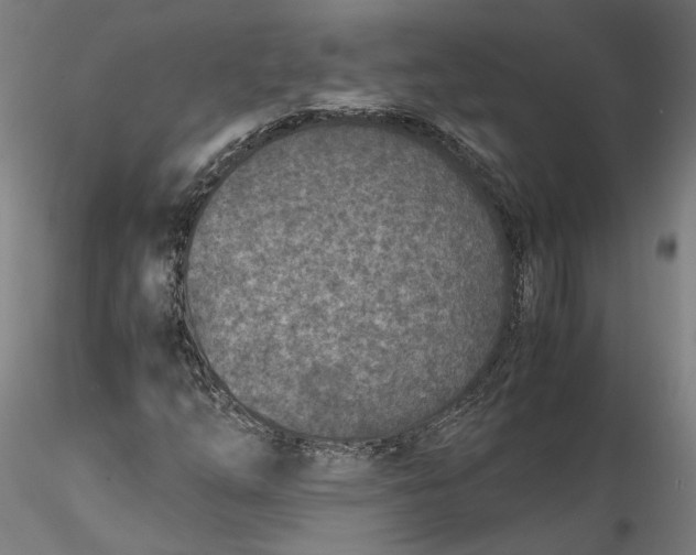 X0000115541254200911271402