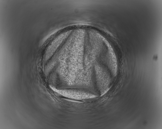 X0000115541255200911271402