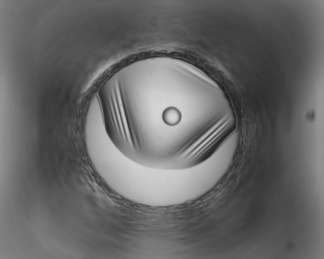 X0000115541256200911271402