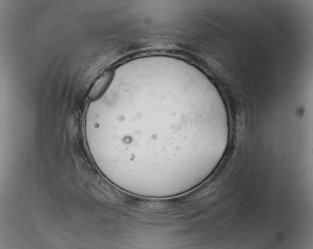 X0000115541257200911271402