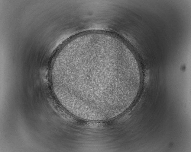 X0000115541258200911271402