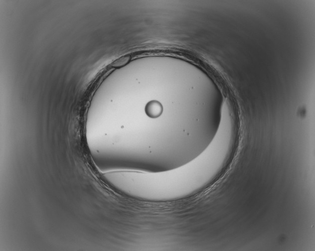 X0000115541259200911271402