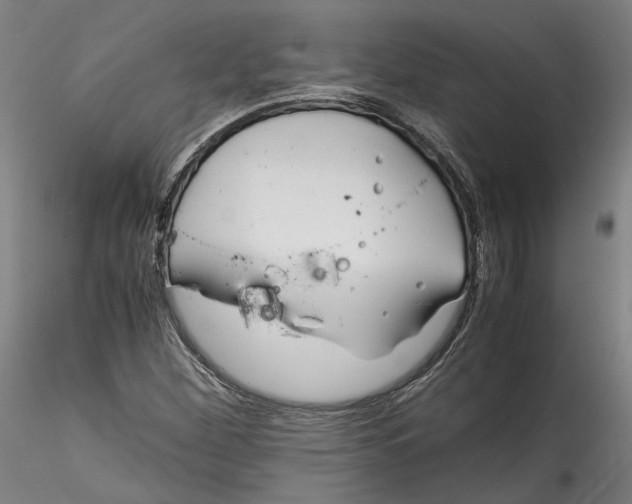 X0000115541260200911271402