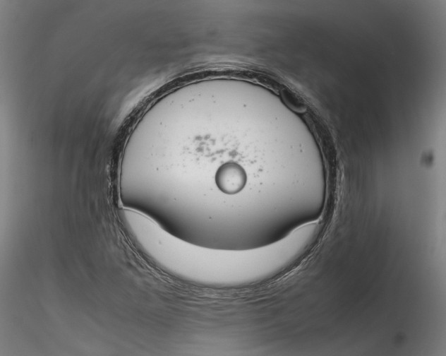 X0000115541261200911271402