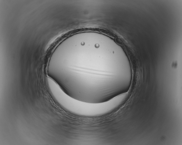 X0000115541262200911271402