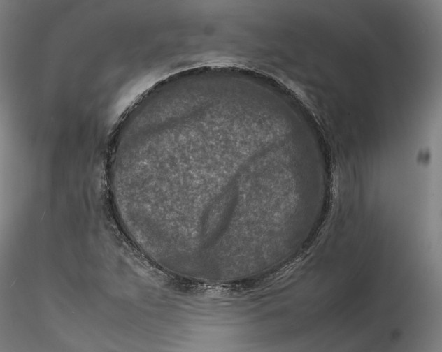 X0000115541263200911271402