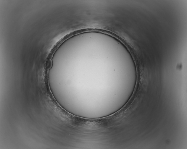 X0000115541264200911271402