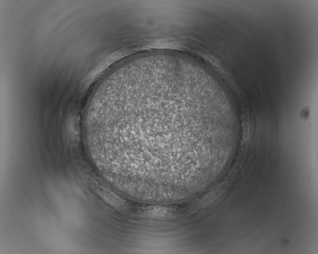 X0000115541266200911271402