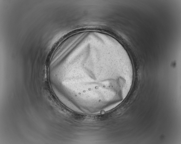 X0000115541267200911271402