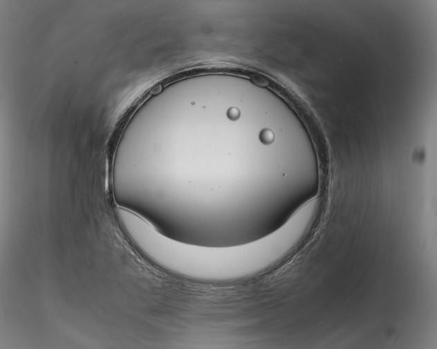 X0000115541269200911271402