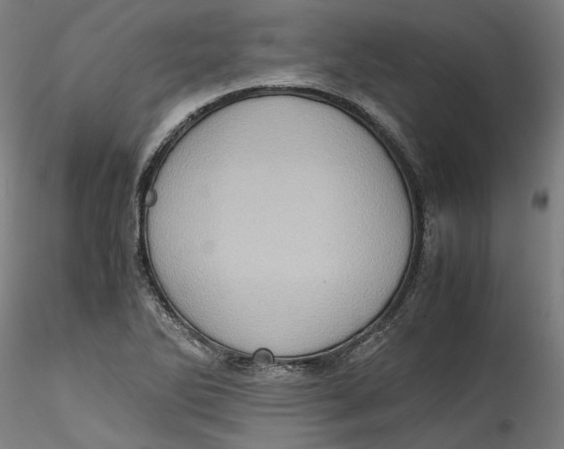 X0000115541270200911271401