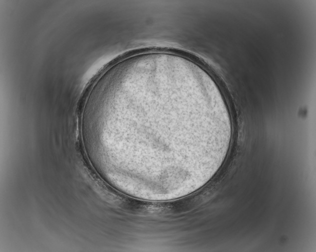 X0000115541271200911271401