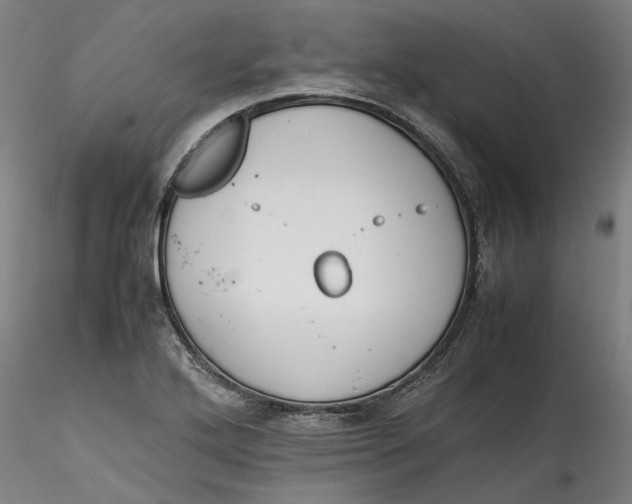 X0000115541272200911271401