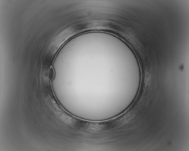 X0000115541273200911271401