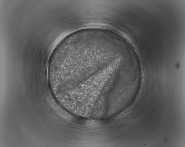 X0000115541275200911271401