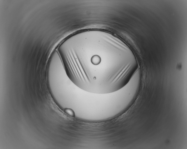 X0000115541276200911271401