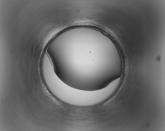 X0000115541277200911271401