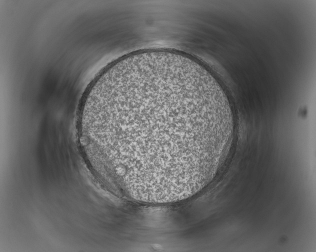 X0000115541278200911271401