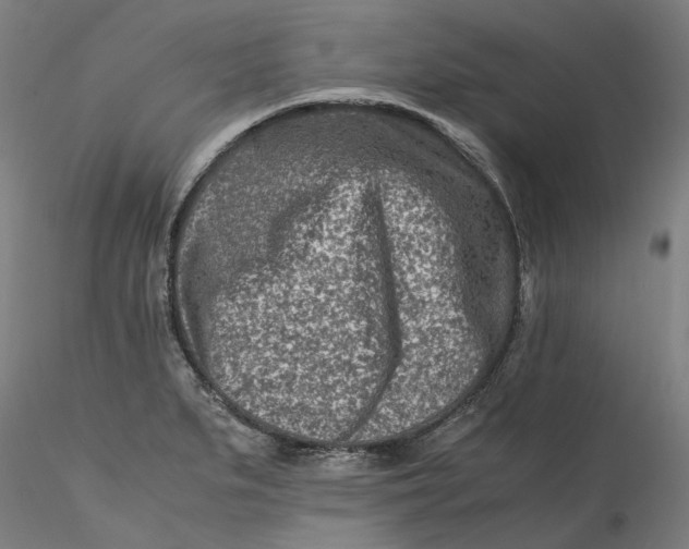 X0000115541279200911271401