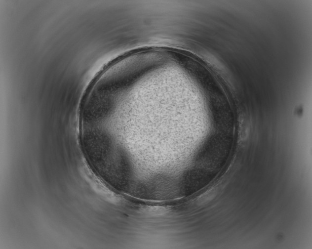 X0000115541280200911271401