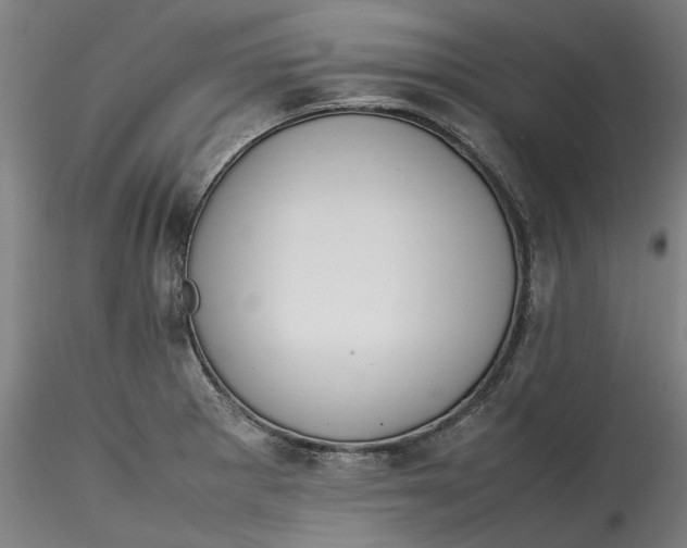 X0000115541281200911271401